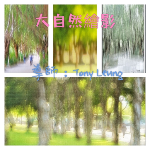 大自然繪影攝影課程 (名額25人) (延期)